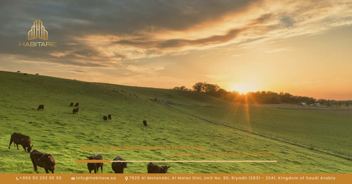 Investing in Agricultural Real Estate in Saudi Arabia