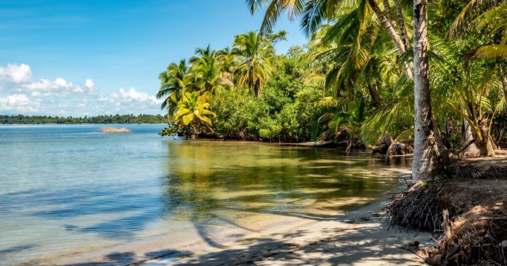 مشاريع البحر الأحمر والاستثمار العقاري للأجانب في السعودية