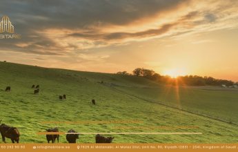 Investing in Agricultural Real Estate in Saudi Arabia